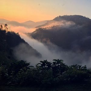 Meet your Posher, Noelle